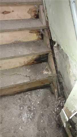 Moisture Causes Mold Growth