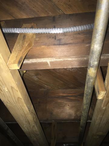 mold on floor joist in the basement because of water damage