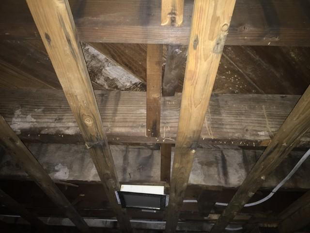 Moldy Basement floor joists