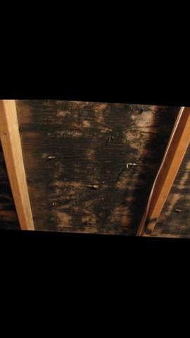 Mold on attic sheathing