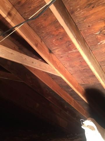 Applying anti-microbial