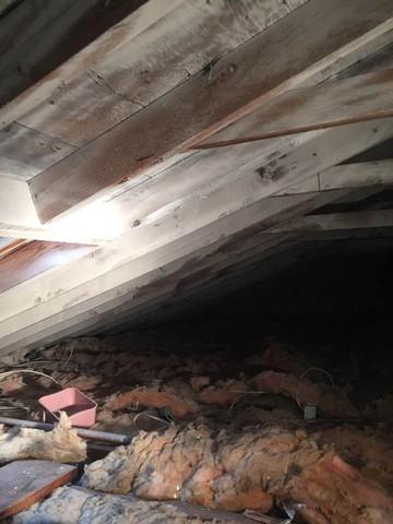 Second step of anti-microbial sealer on sheathing