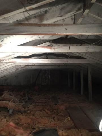 Entire attic treated