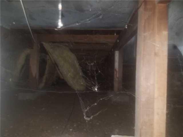 Wet Crawlspace