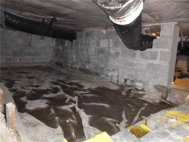 While these puddles might look fun to jump around in, they are a serious problem for this crawl space. Standing water in a crawl space or basement will evaporate into the house above it and can cause mold growth.