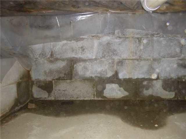 If you have concrete blocks in your wet crawl space, you've probably seen this white powder on them. This powder is called efflorescence and is a telltale sign that water is coming through the concrete. It's not mold but the minerals that dissolve and remain behind when the water evaporates.