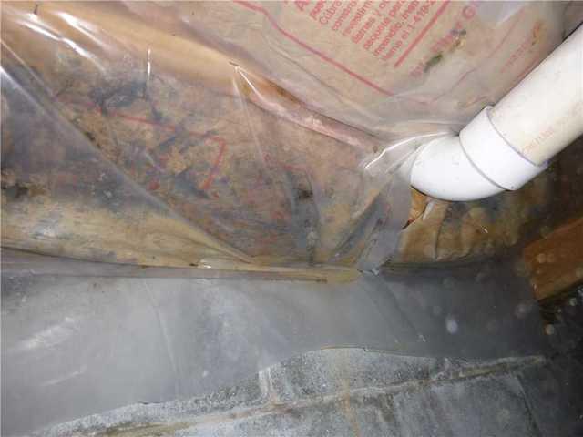 Mold loves materials that are organic and not waterproof. Fiberglass insulation is great in homes but not crawl spaces where there is lots of moisture. The insulation will also hold water and eventually fall to the ground where it's doing no good.