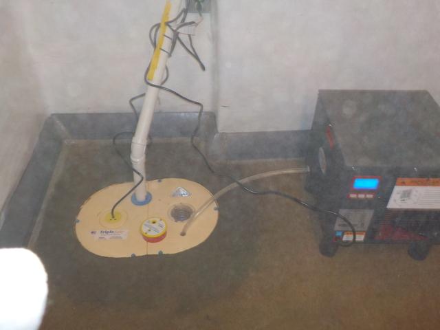 Sump Pump and Dehumidifier