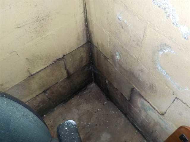Mold in Corner of Basement