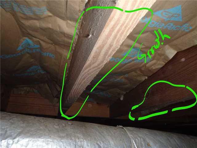 Unwanted Moisture Growth