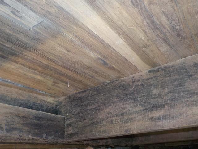 Bare wood and Mold
