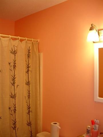 Painted bathroom