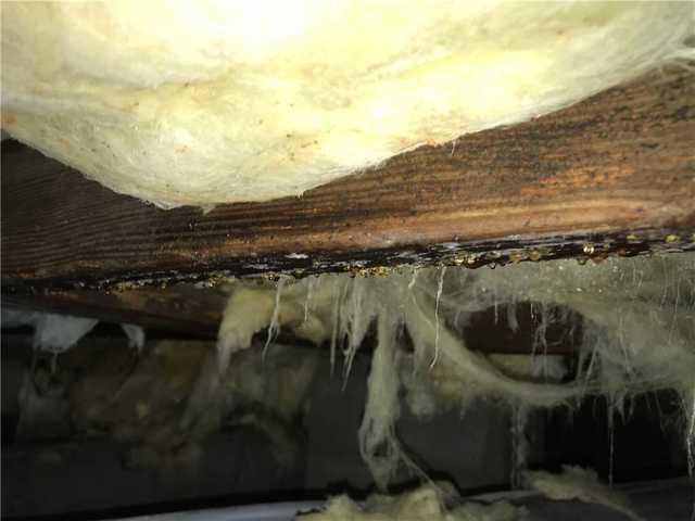 The moisture issues started to cause irreversible damage to the structure of the home.