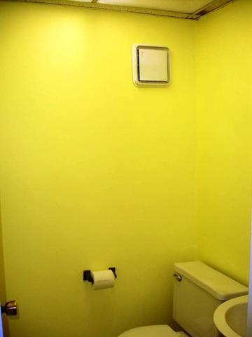 Bathroom with bright paint