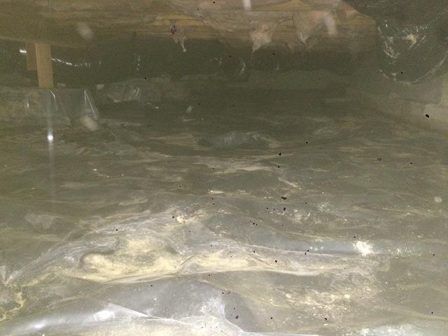 Wet Crawlspace in Tolovana Park