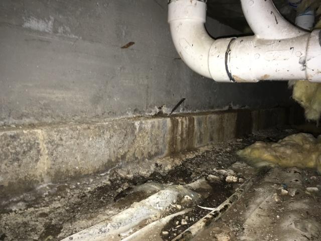 Water Coming In Through Foundation Wall