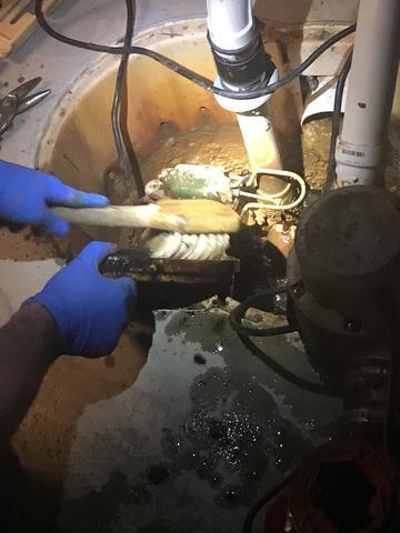 System Gets a Good Scrub