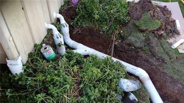 Iceguard Protection in the Winter