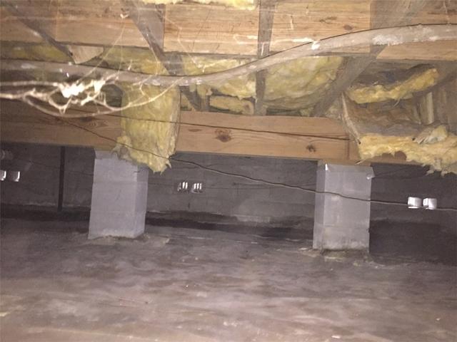 Wet Crawlspace in Richmond Hill, Georgia