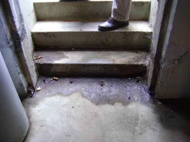 Wet Basement Stairs in South Woodstock, CT