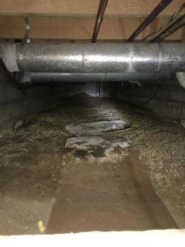 Water Damage on Floor of Crawl Space