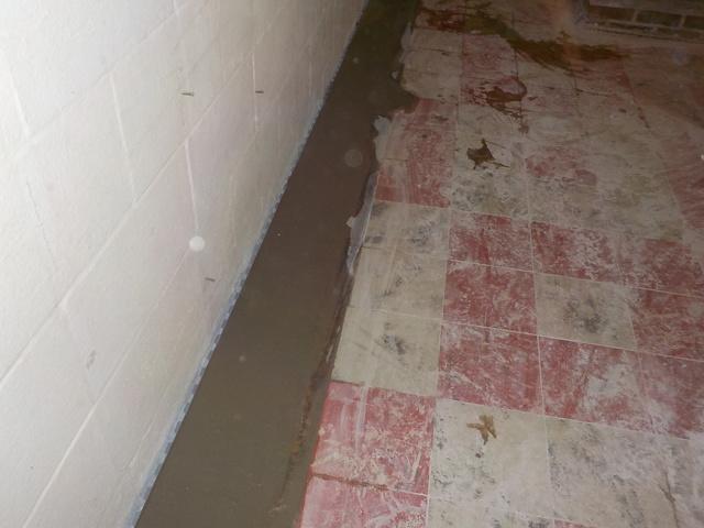 Water Collection System