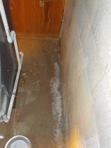 Flooded Basement in East Lansing