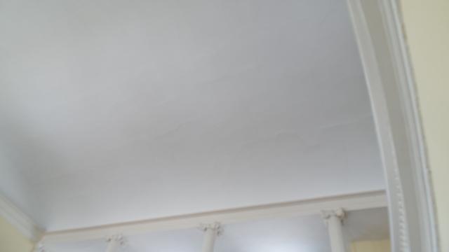 Ceiling Pre-Renovation