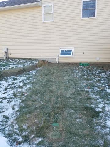 The discharge line was dug because of unseasonably warm temperatures for the winter!