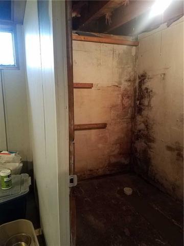 Mold is a Sign of Moisture