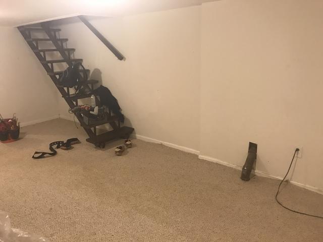 Moldy Basement in Baltimore, MD