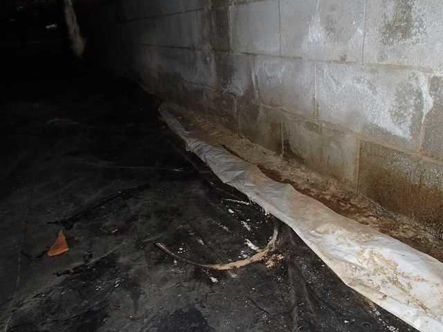Evidence of Water in a Crawl Space in  Rehoboth Beach, DE