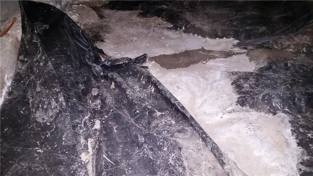 Moldy Mess