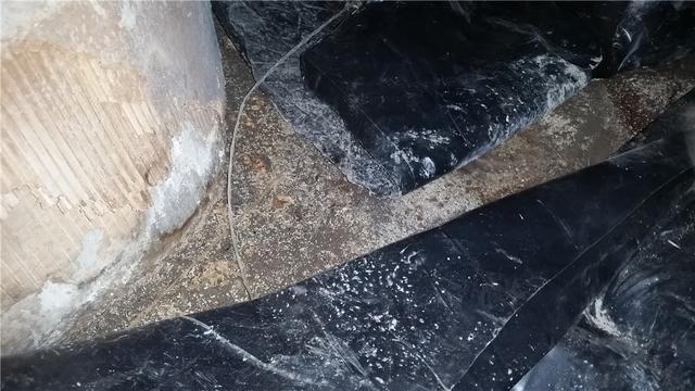 More Mold