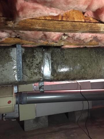 Crawl space remediation