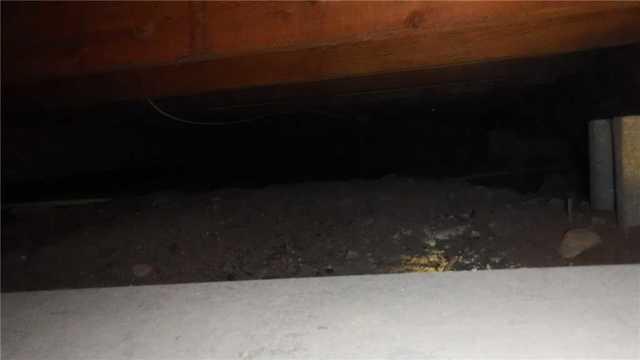 Areas of this crawl space were as short as 6" of clearance, which meant our guys had to be diligent at securing the CleanSpace and think lots of skinny thoughts.