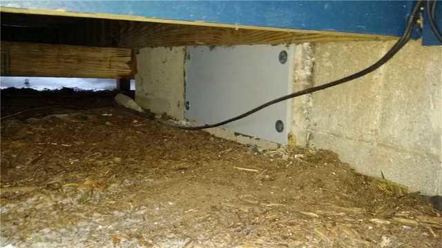 Crawl space vents or unsecured doors are the same as having a window open in your house all the time - anything that's outside can easily get in. We covered this open space to seal off the crawl space.