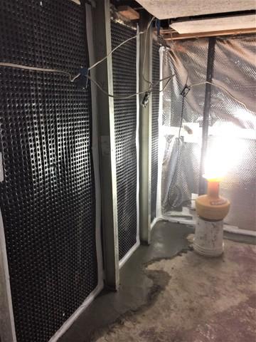 Power Braces