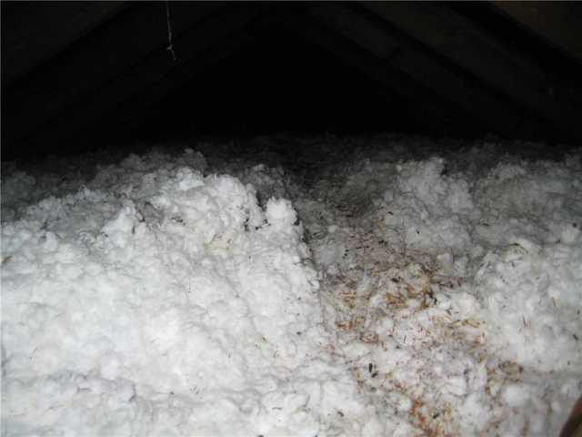 Dirty Loose Fill Insulation