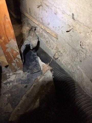 Perforated Pipe