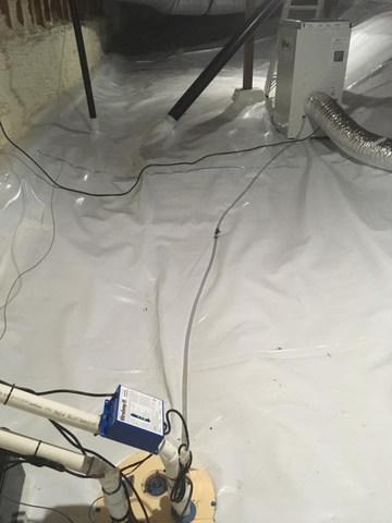 CleanSpace