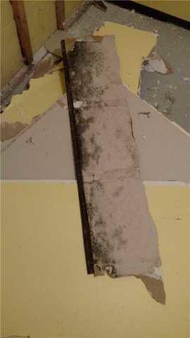 Finished basement wall demo, discovering mold built up behind a finished wall