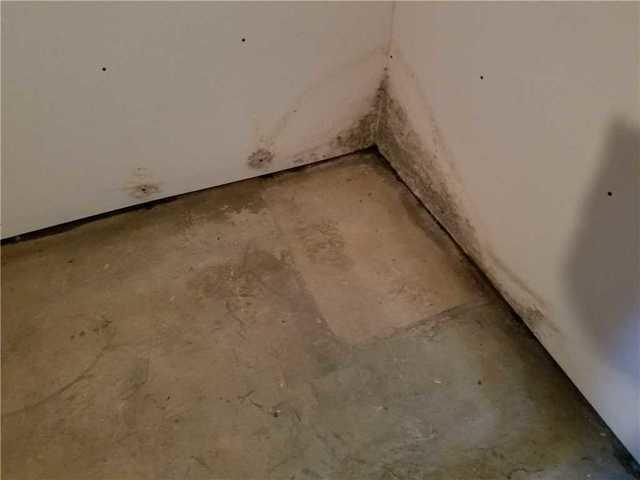 Water Damage to Their Basement