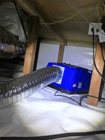 SaniDry Dehumidifier