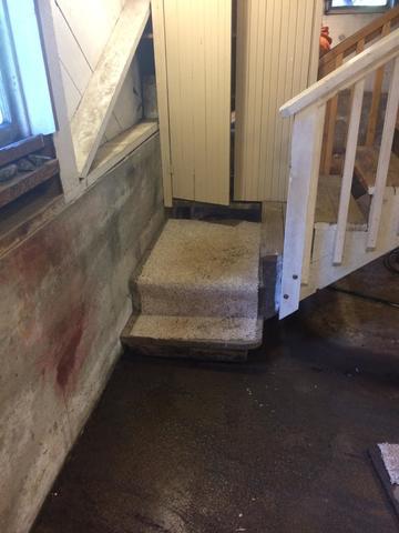 Rotting Stairwell