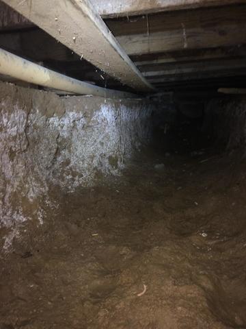 Dirt Crawl Space