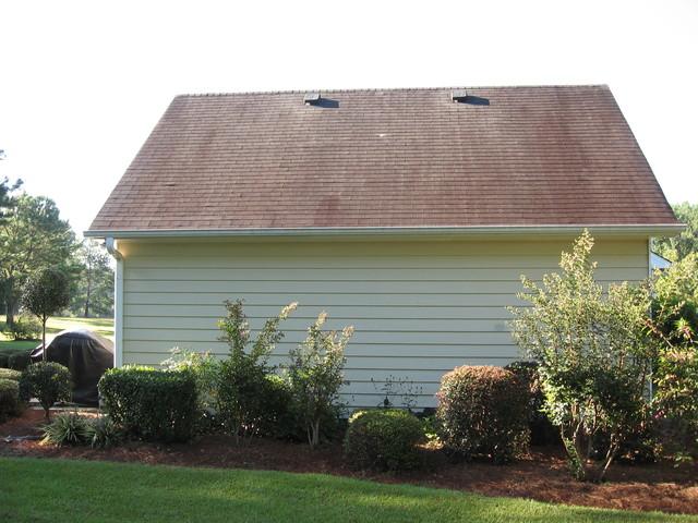 Vinyl Siding After View