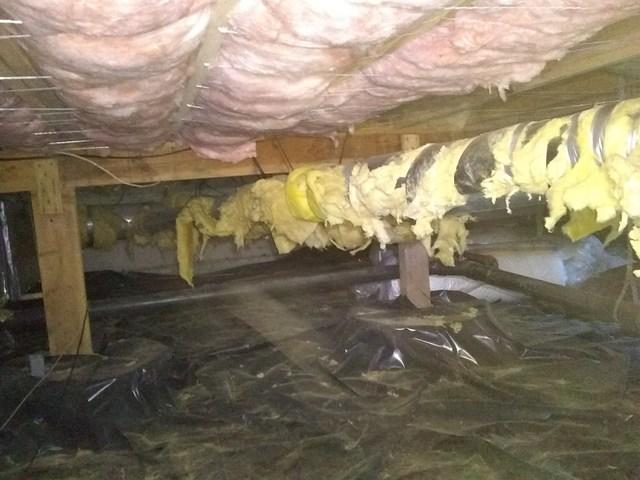 Dirty Crawlspace