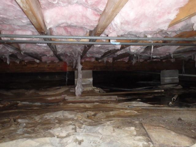 Standing Water in Crawl Space