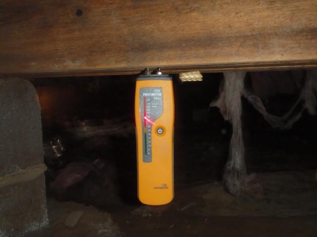 Wood Moisture Monitor